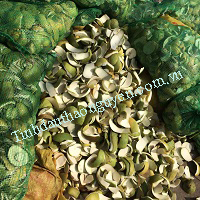 Tinh dầu vỏ bưởi